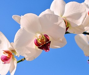 甘肃正规助孕捐卵机构，附正规捐卵机构报名表！